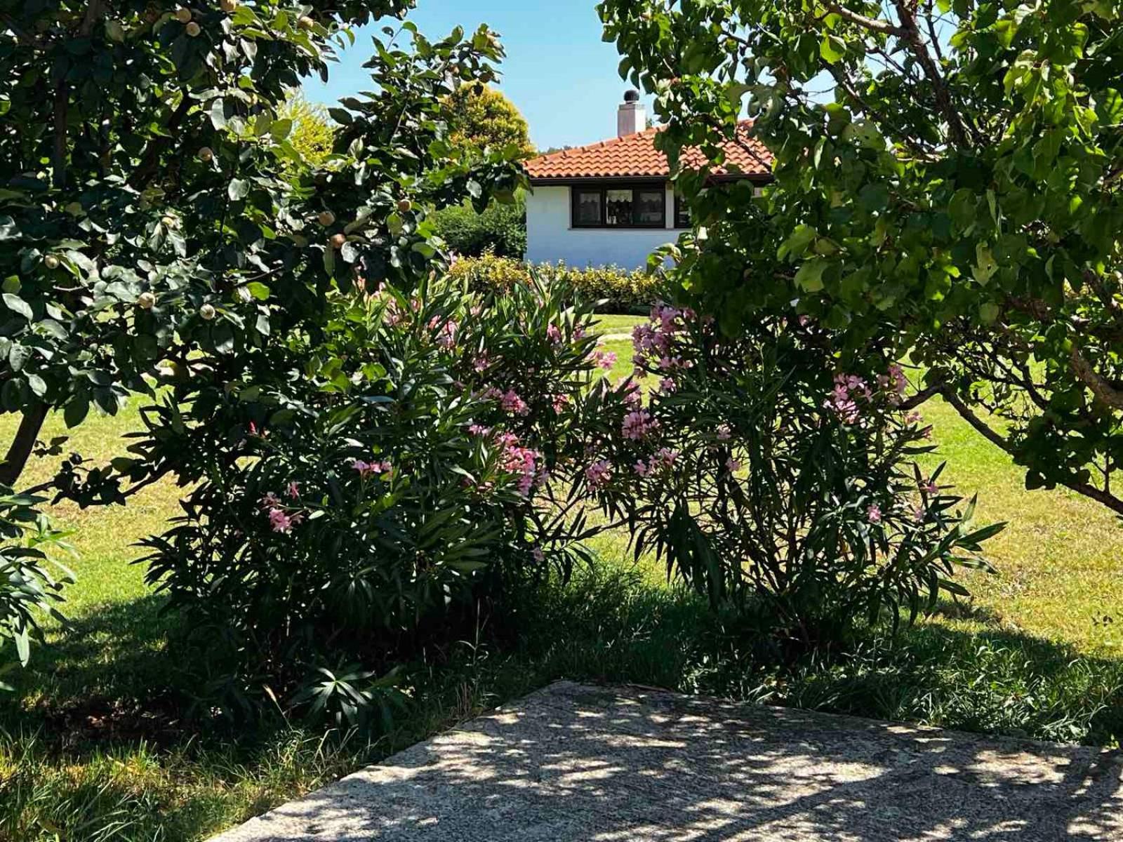 Prázdninový dům Casa La Vida Galižana